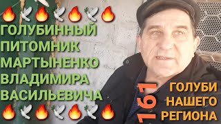 🔥🔥🔥 Голубинный питомник Мартыненко Владимира Васильевича. Часть 1. Голуби нашего региона. Pigeons.