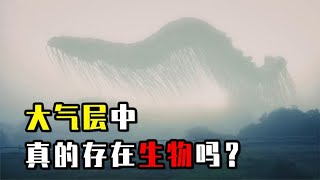 大气层中存在神秘生物，这是真的吗？带你揭开大气层的秘密