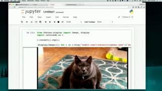 Ryan Paul - Learn how to use RethinkDB with Jupyter
