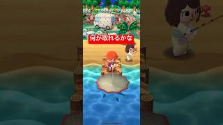 【ポケ森】レア魚GETチャレンジ part20