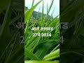 शेतीतल्या अनुभवाशिवाय पीक नाही शेती शिवाय जिंदगीत मजा नाही शेतकरीbrand agri