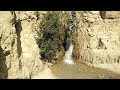 an ibex at ein gedi israel