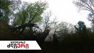 ყველაზე ძლიერი ეპიზოდი 8 სრული ვერსია