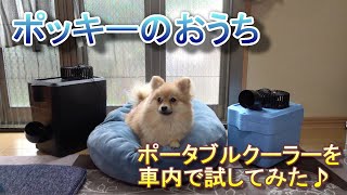 【愛犬の為のDIY】ポータブルクーラーを車内で試してみた♪