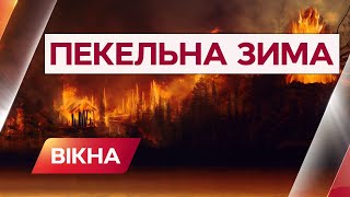 Пекельна зима: як потужна хвиля пожеж пронеслася світом | Вікна-Новини