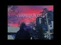 Chameleon Eyes