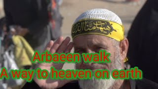 Arbaeen Walk: From Najaf to Karbala, Iraq!