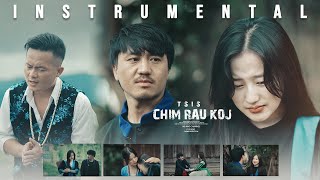 Beer Yang - Tsis Chim Rau Koj (Official Lyric Instrumental Video)