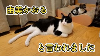 🔴【にこりら】チーム「ほたて」から こんばんは♪