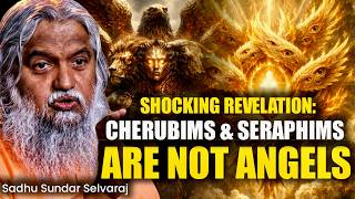 NOT ALL HEAVENLY BEINGS ARE ANGELS? |Sadhu SundarSelvaraj Reveal the Truth About Cherubim & Seraphim