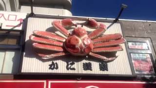 カニ 蟹 かに道楽の看板 crab