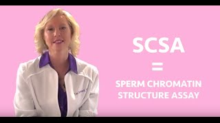 Sperm DNA Test related to fertility • WCWRC