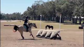 1/26/25- Butterball Majestic XC schooling