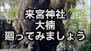 #来宮神社 #樹齢2100年#大楠 廻ってみましょう✨