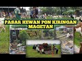 Pasar hewan baru di MAGETAN Pasar PON KIRINGAN