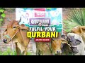Qurbani 2026