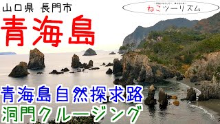 【猫と旅行】山口県 青海島を内から外から観光