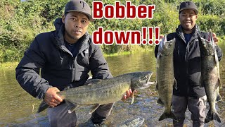 Chum Salmon BOBBER DOWN First Cast