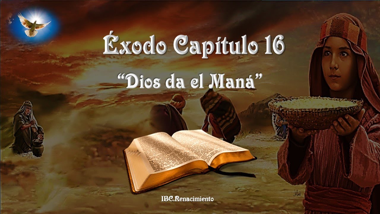 Audio Biblia éxodo 16 Youtube