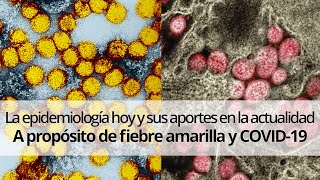 La epidemiología hoy y sus aportes en la actualidad: A propósito de fiebre amarilla y COVID-19