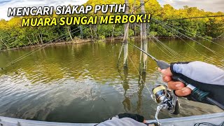 MISI MENCARI SIAKAP Putih di Muara Sungai Merbok!!