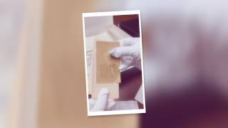 Wayne County Courthouse time capsule display