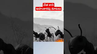 చేత కాని అహంకారపు మాటలు#tanikellabharanicomedy #godwords #manchimatalu