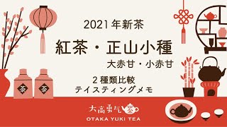 【二種類評茶】2021年紅茶・桐木関正山小種の違いを徹底解説！【中国茶・中国上海】テイスティング