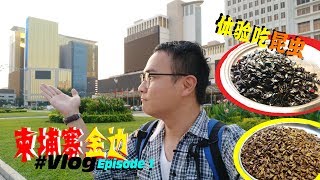 【柬埔寨金邊】赌场走一圈再吃昆虫餐☝️Cambodia Phnom Penh Vlog EP01