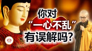 你对“一心不乱”有误解吗？ 👼 | 净本法师 主讲