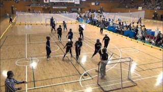 20130608第3回関東甲信越FH競技大会 vol1. BS-トッキーズ