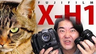 FUJIFILM X-H1 あの最高峰のAPS-Cミラーレス一眼フラッグシップデジカメでお散歩スナップ写真を撮ってみたらこうなった！