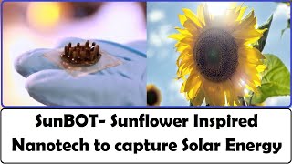 Sunbot- A sunflower inspired nanotechnology material to harvest solar energy