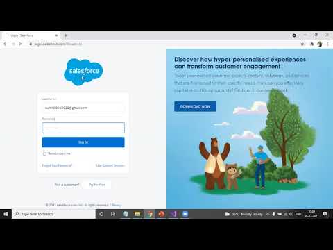 Salesforce REST API Integration: How to make Rest request from Dot Net to Salesforce
