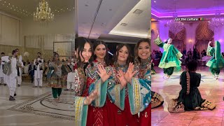 Best Afghan wedding TikTok 🇦🇫❤️🇦🇫❤️