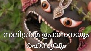 സലിഗ്രാമ ഉപാസനയും രഹസ്യവും / അരുൺ പ്രഭു.