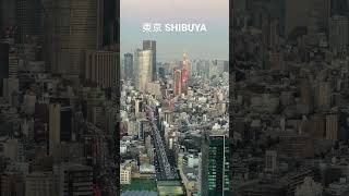 2023 Tokyo Tower東京鐵塔🗼日落-療癒系縮時攝影 @SHIBUYA SKY