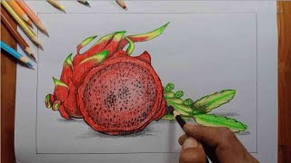 Menggambar buah naga (Drawing of dragon fruit)