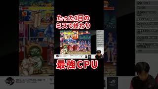 ファイターズヒストリーダイナマイト まるでヤワラちゃんのような見た目の最強CPU