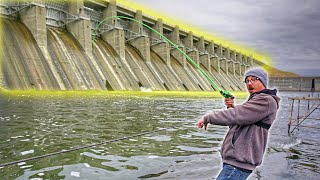 Unbelievable GIANT FISH From UNEXPECTED Locations!!! (Spillway/Puddle Fishing)