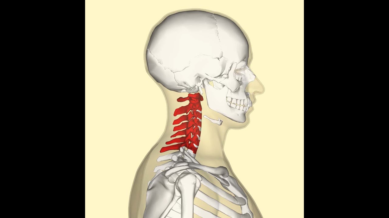 Knes 310 Lecture 17 Youtube