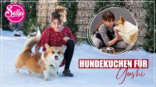 Hundekuchen selber backen / Dog Treat Recipe / Sallys Welt