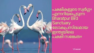 രാജസ്ഥാൻ ടൂർ | Rajasthan tour #4| Bharatpur bird sanctuary malayalam |