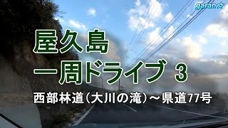 屋久島一周ドライブ 3　西部林道（大川の滝）～県道77号線【車載動画】　/　Yakushima , Japan