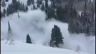 Large Avalanche in Big Springs- 11 March 2023