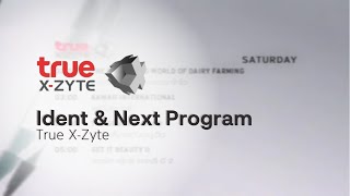 True X-Zyte - Ident + Next Program [2007 - 2015]