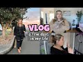 Grocery haul, It cosmetics CC cream, Chippy goes to the vet - VLOG