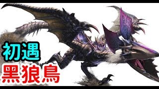 【毆帕Opa】PS4 魔物獵人冰原MHWI   初遇黑狼鳥