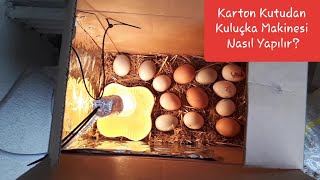 KARTON KUTUDAN KULUÇKA MAKİNESİ NASIL YAPILIR?