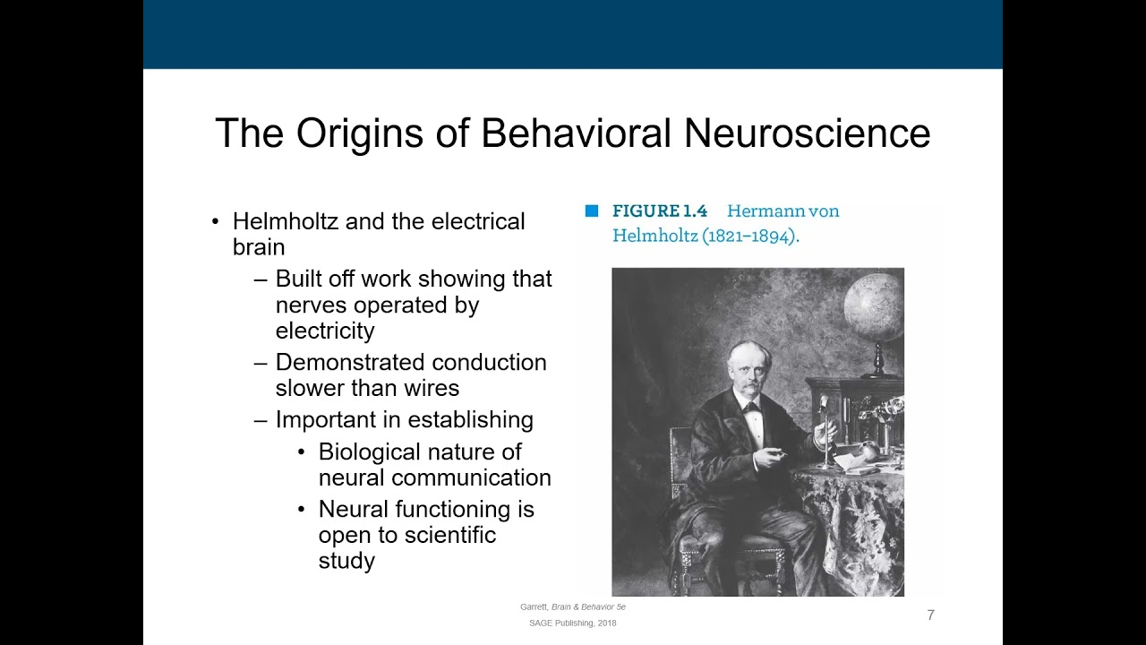 Origins Of Behavioral Neuroscience - YouTube